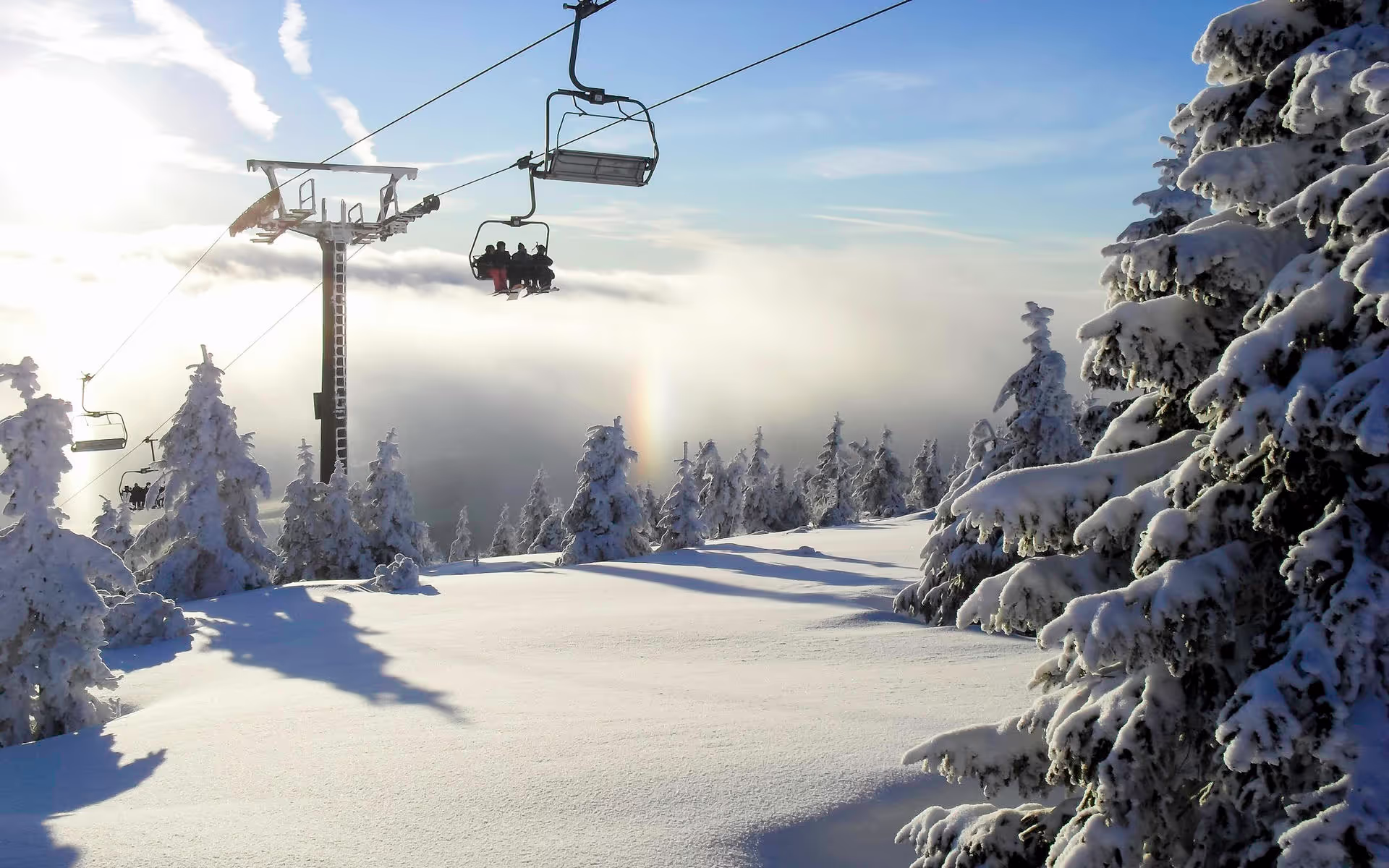 Ski lift going up snow covered mountain with trees