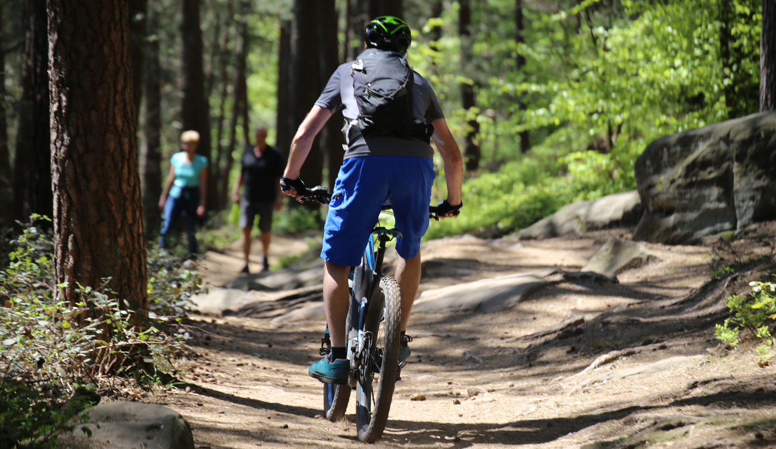 Man mountain biking on a trail