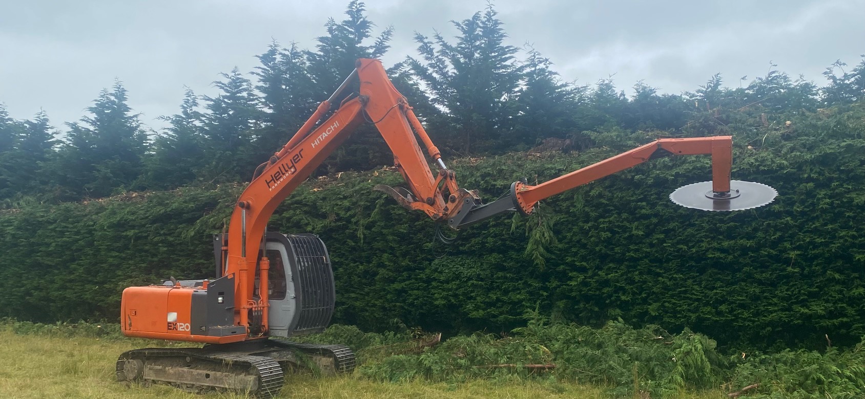 Orange excavator with a large circular saw attachment cutting tall green hedges in a grassy area.