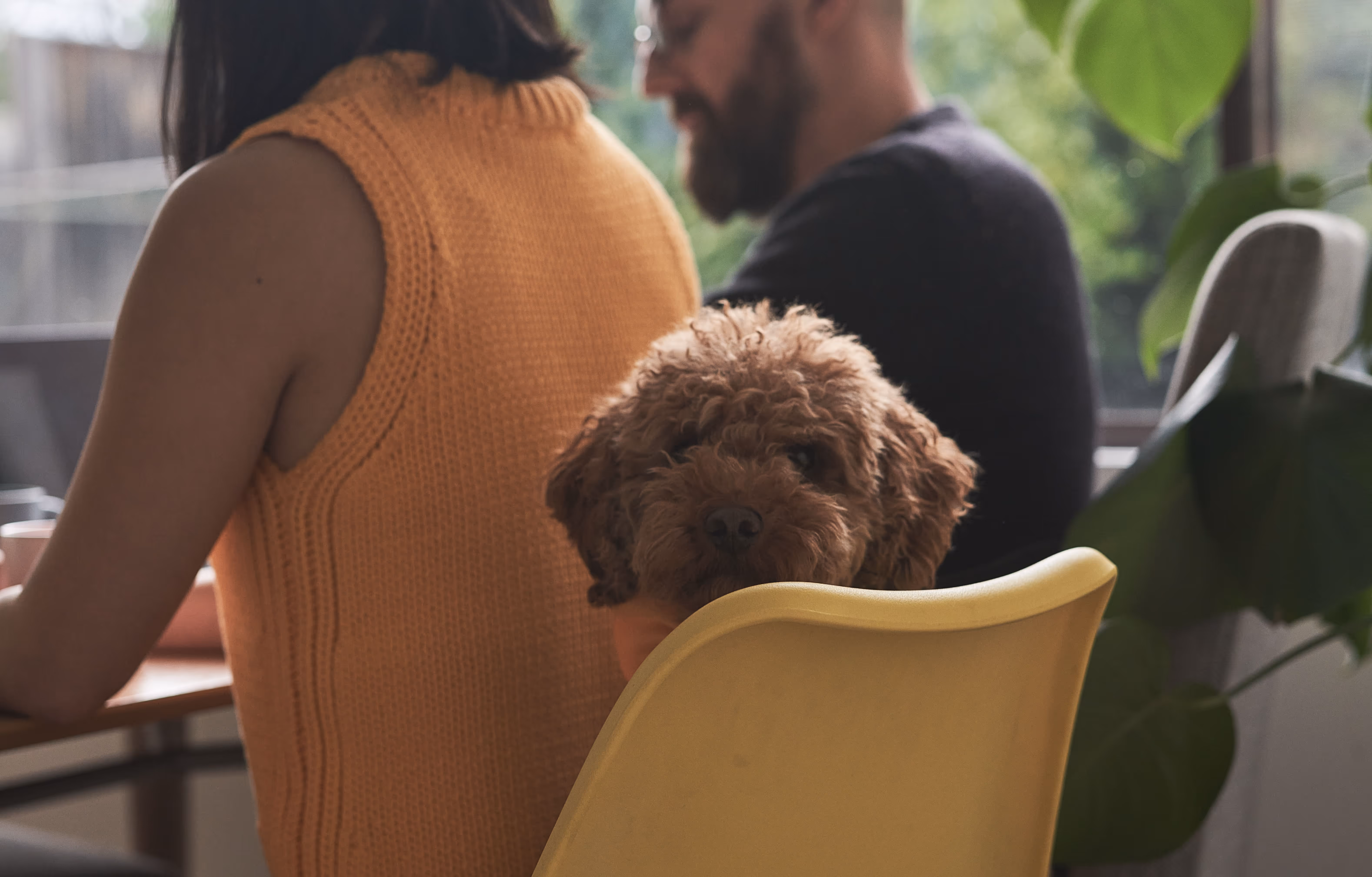 Harvey (chairdog) why it's take Beck & Simon so long to get more treats. 