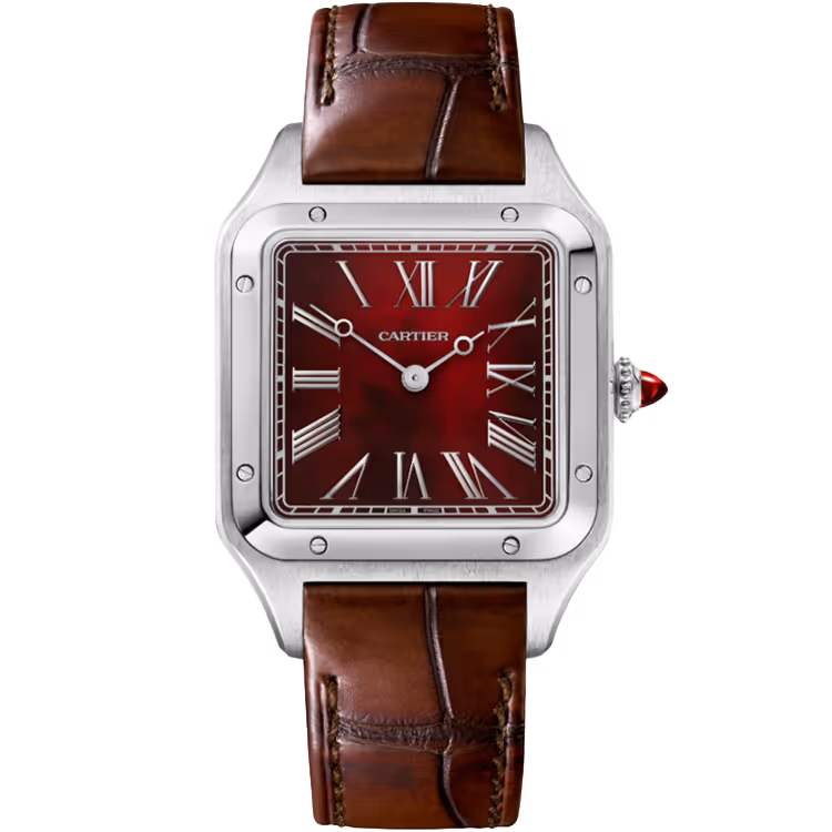 Cartier, Santos, WGSA0102, Red Dial, Platinum, Leather Bracelet, 31mm