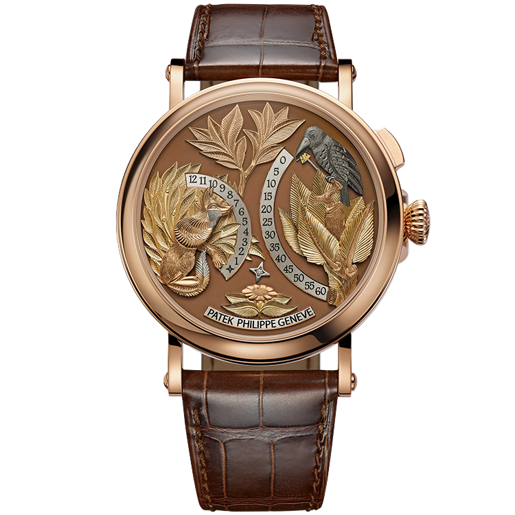 Patek Philippe, Complications, 5249R, Chocolate Dial, The Fox and The Crow, Rose Gold, Leather Strap, 43mm