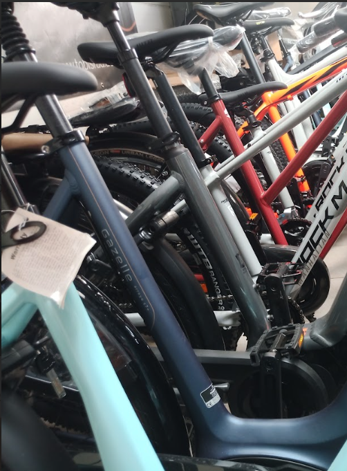 Gazelle Modeo Angebot