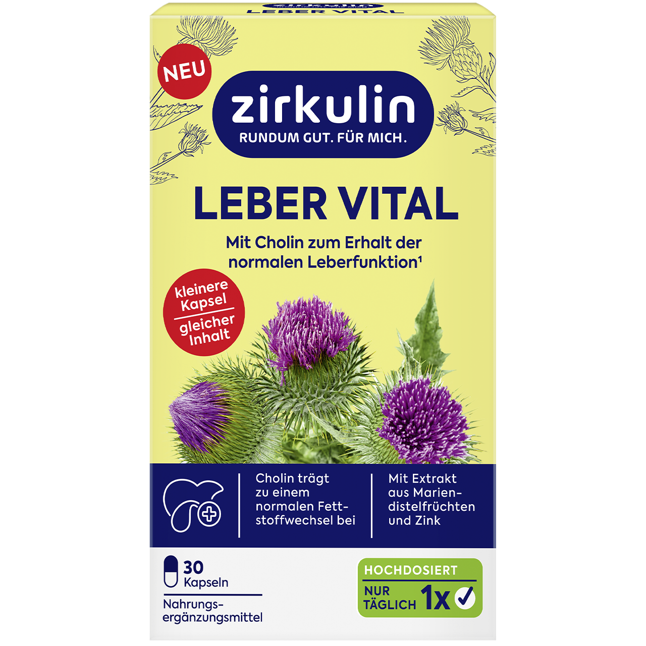 Leber Vital hochdosiert