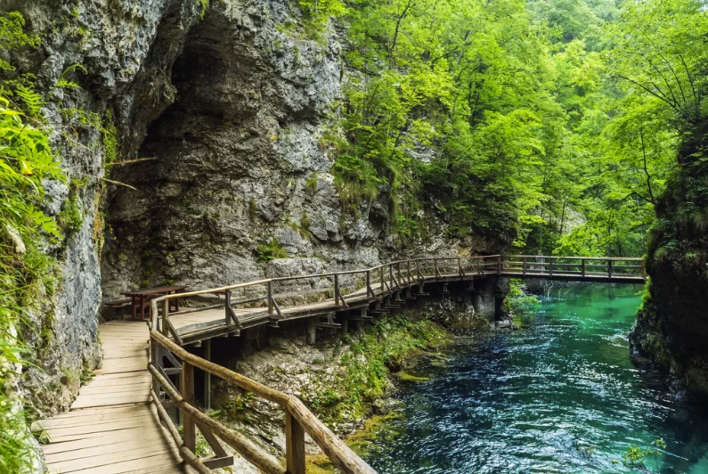 a wooden boardwalk follows alongside a clear blue river in the vintgar gorge slovenia