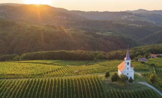 sunset over a vineyard with a lone church on the hill