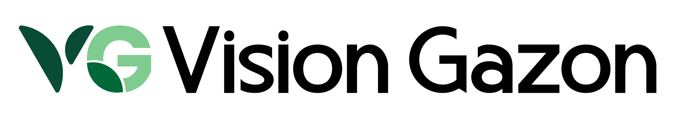 Vision Gazon Full Logo