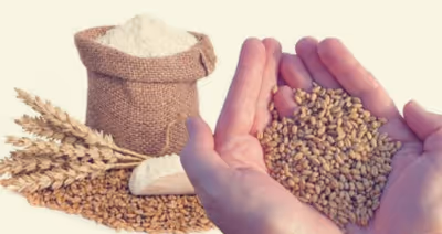 زكاة الفطر مع جمعية نوايا الخير
