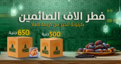 كرتونة الخير في مصر 2025 مع كريمة العلا الخيرية