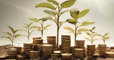 زكاه مال مع جمعية المحافظة على القرآن الكريم