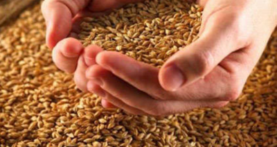 زكاه فطر مع جمعية الرحمة الخيرية