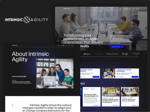 Intrinsic Agility Website Highlight