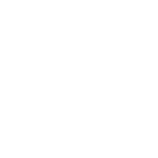 Google icon