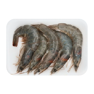 Camarón con cabeza 20 / 30