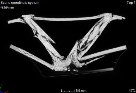 carbon-ct-scan