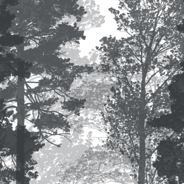 Example of the Basic Tree Silhouettes - Brush Set