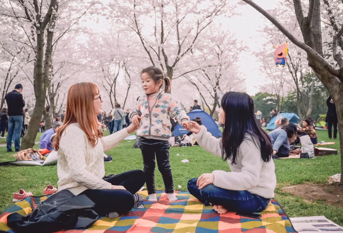 Two adults and a child on a checkered picnic blanket beneath pink cherry blossoms in a lively park