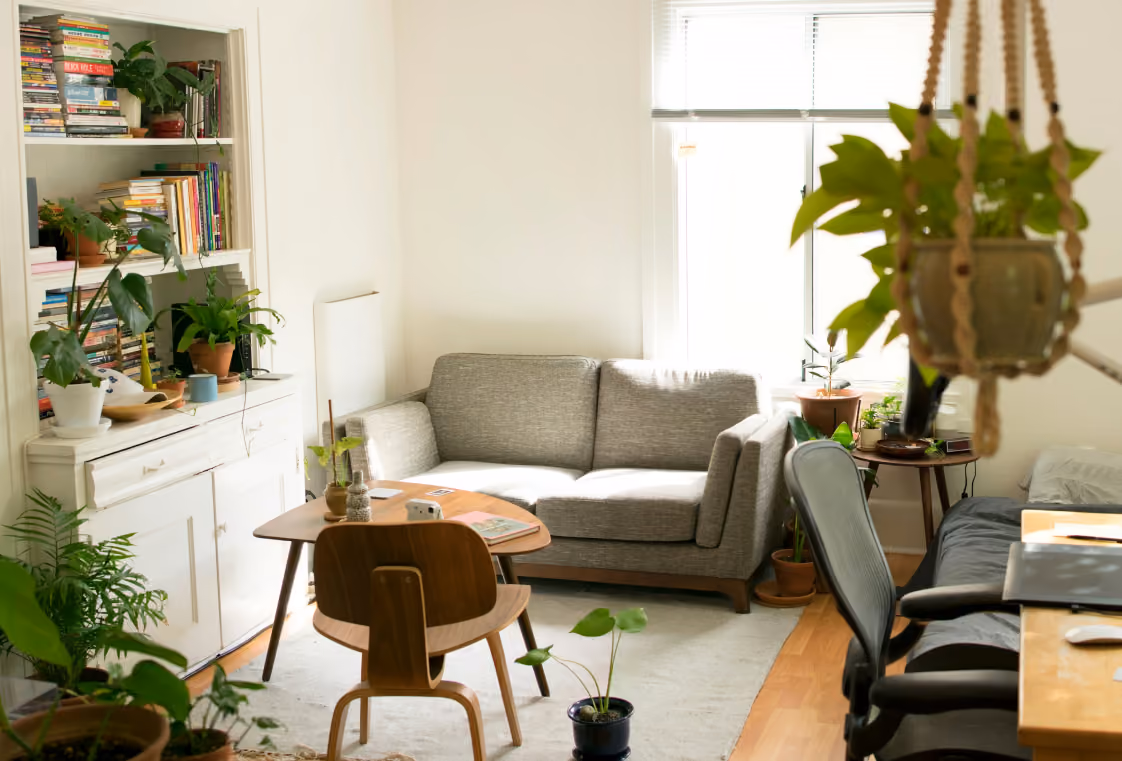 Sunlit apartment living room filled with houseplants, bookshelves, and midcentury seating
