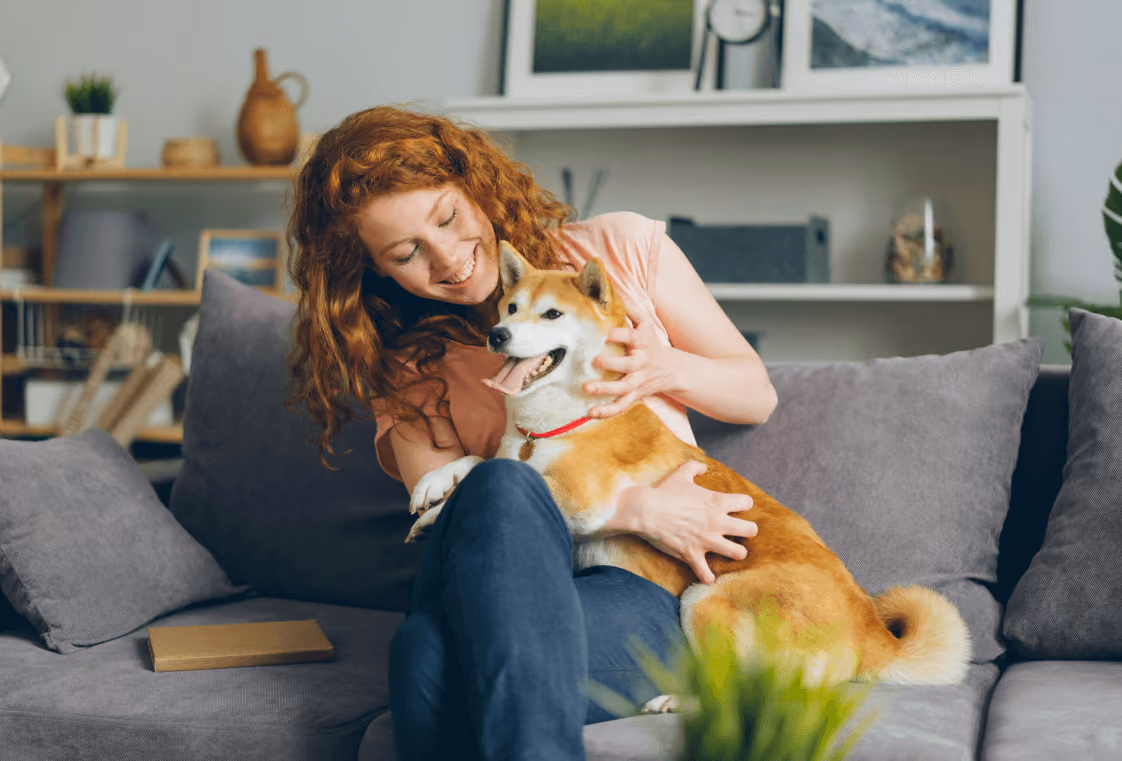Woman with curly red hair hugging a happy Shiba Inu on a grey sofa in a bright living room