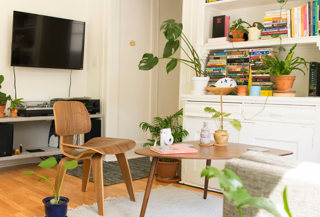 Bright living room with midcentury plywood chair, wood coffee table, and bookshelves filled with plants