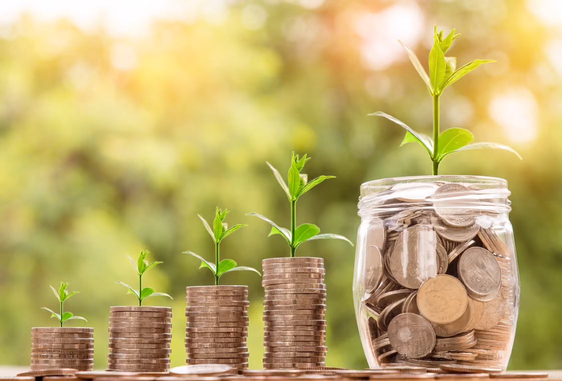 Rising stacks of coins and a jar of coins, each sprouting a small green plant, in warm sunlight
