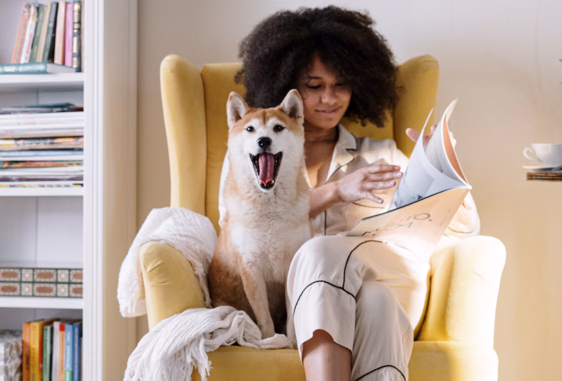 Woman reading in a yellow armchair beside a yawning Shiba Inu and a bookshelf