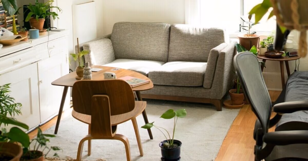 Apartment living room with chairs and a couch