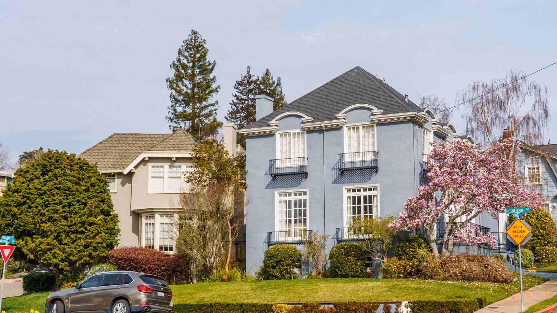 Two-story blue house with large windows, flowering trees, and a front lawn in a residential neighborhood.