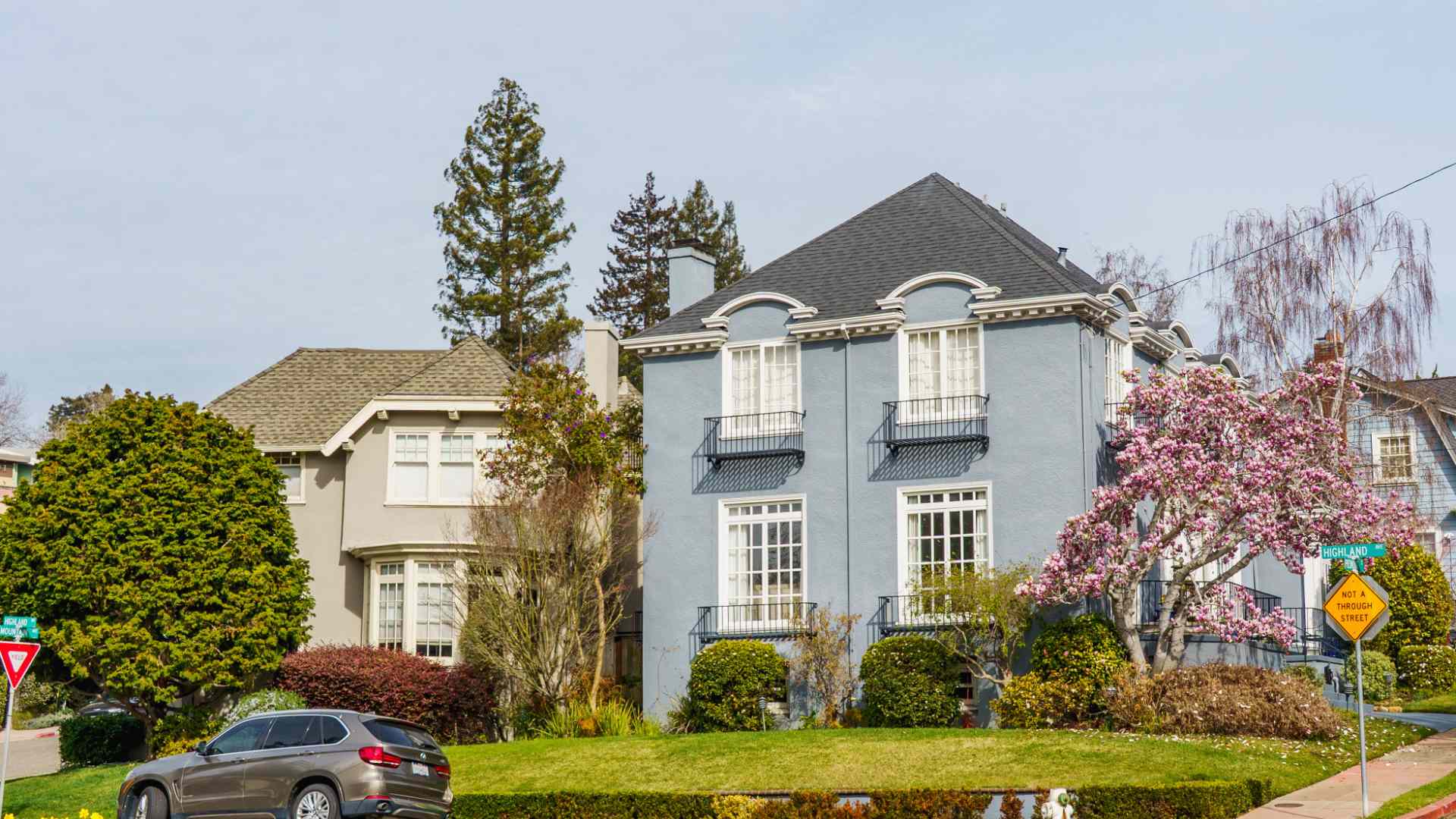 Two-story blue house with large windows, flowering trees, and a front lawn in a residential neighborhood.