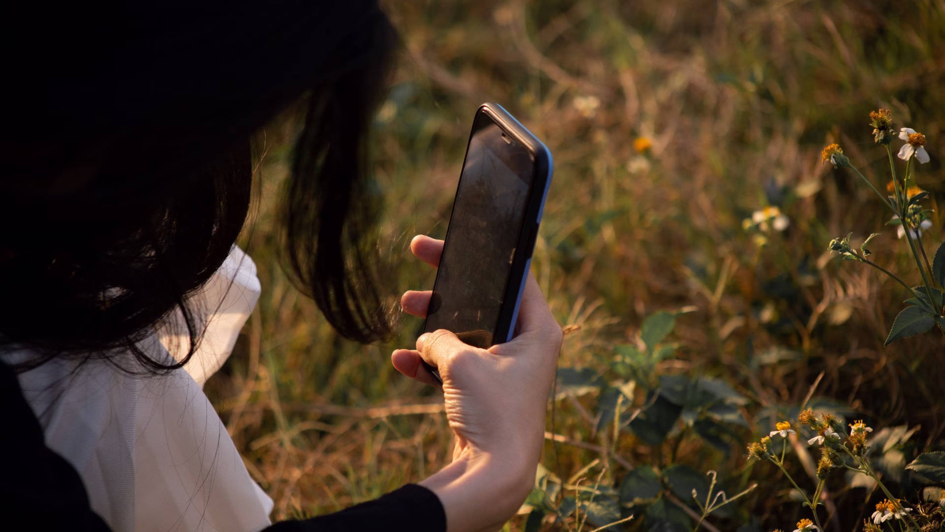 a photo of some plants with their smartphone
