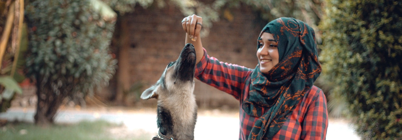 A person feeding a dog outside