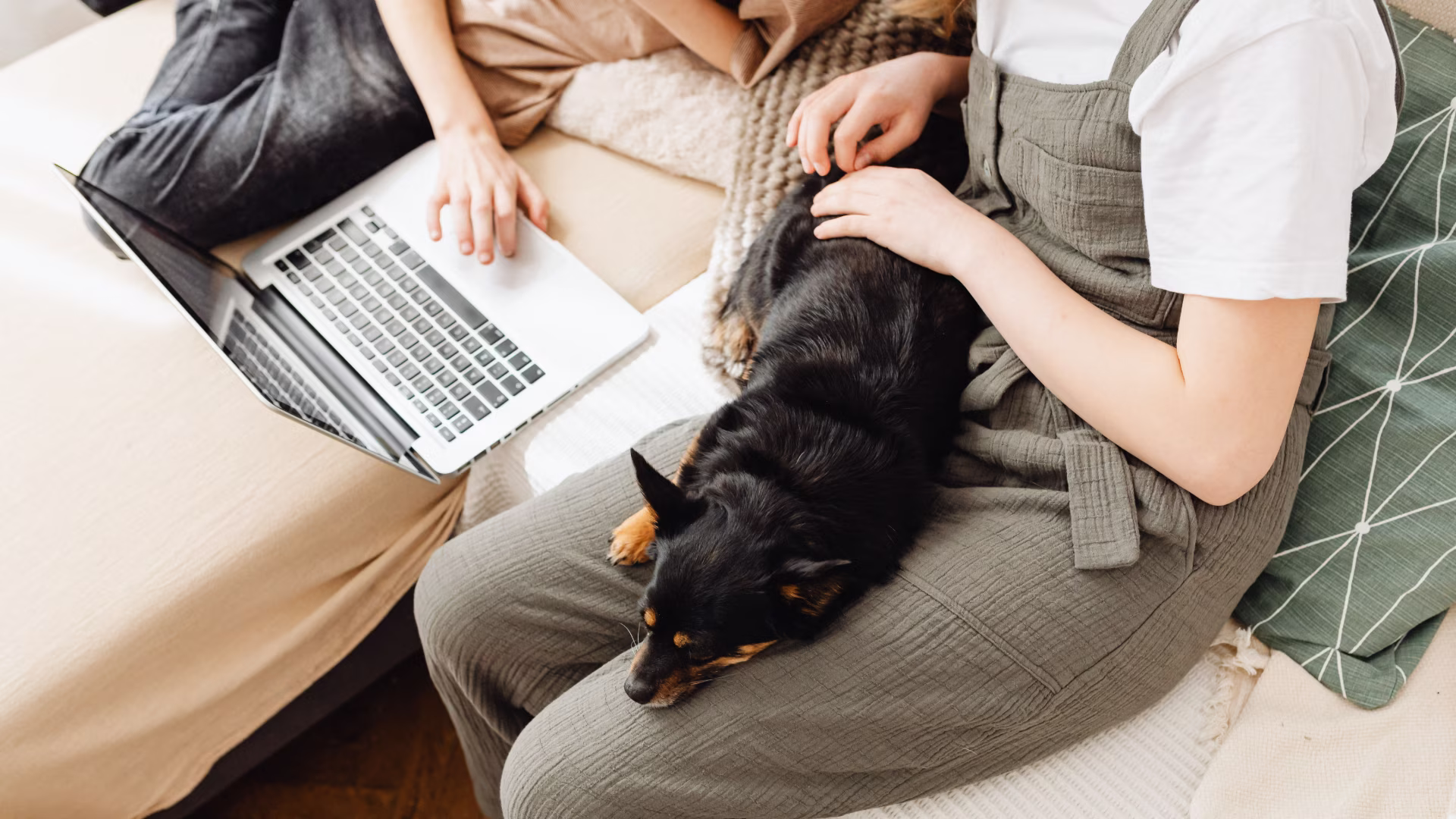 two people sitting on a couch with a dog on their lap