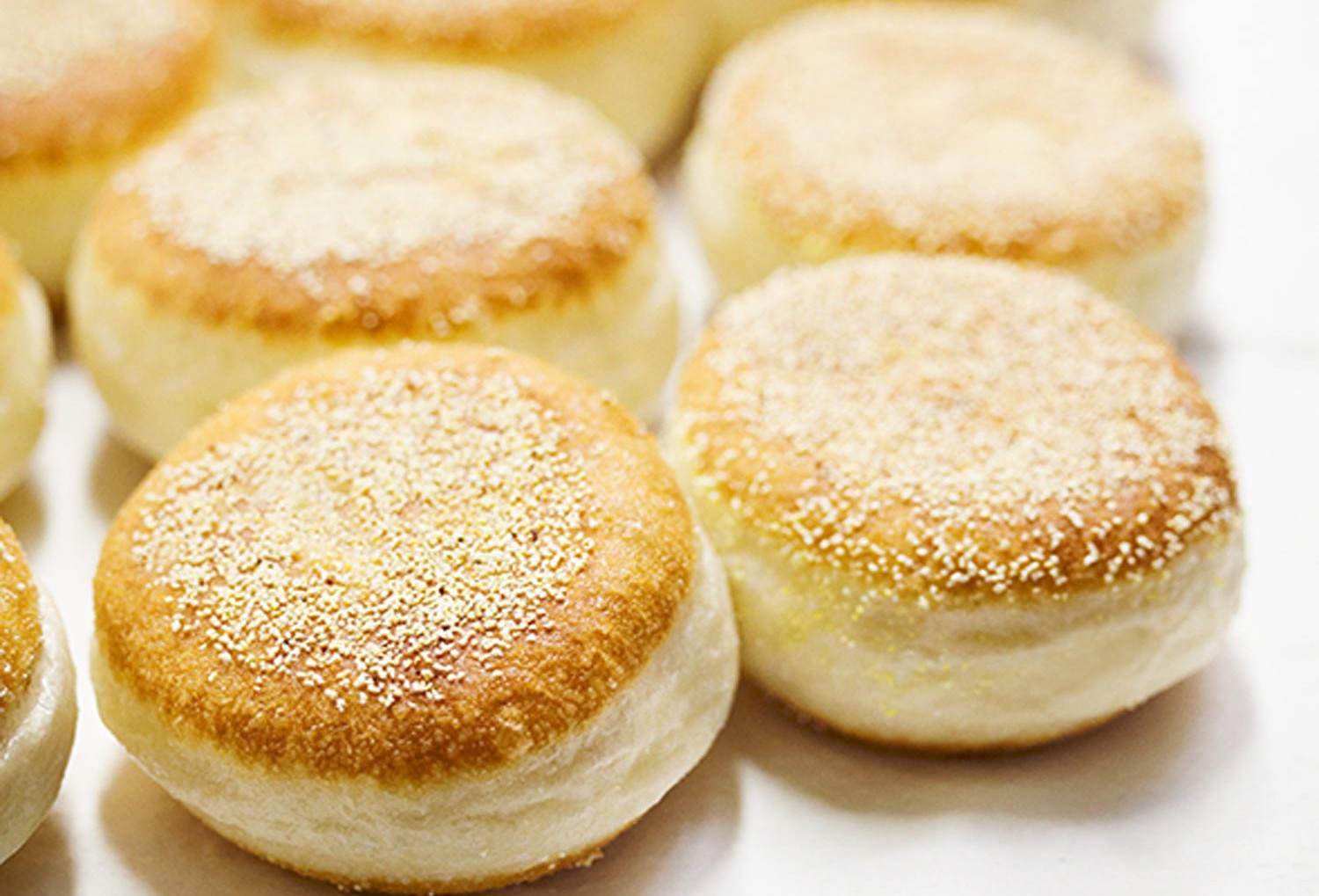 Model bakery's famous english muffins