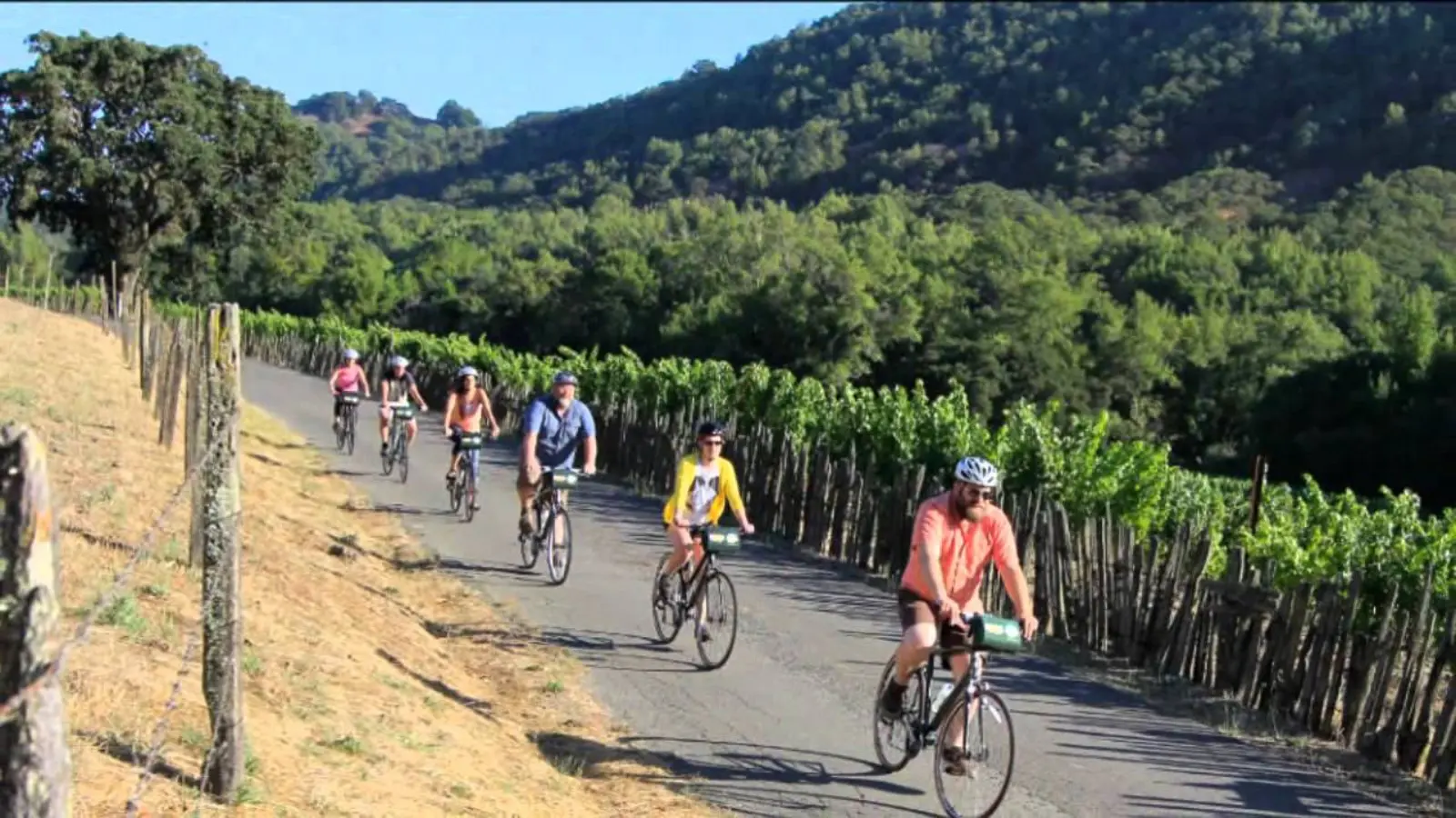 Napa Valley Bike Trails offer cyclists a picturesque route through vineyard landscapes with a group of riders enjoying the paved path surrounded by grapevines and forested hills