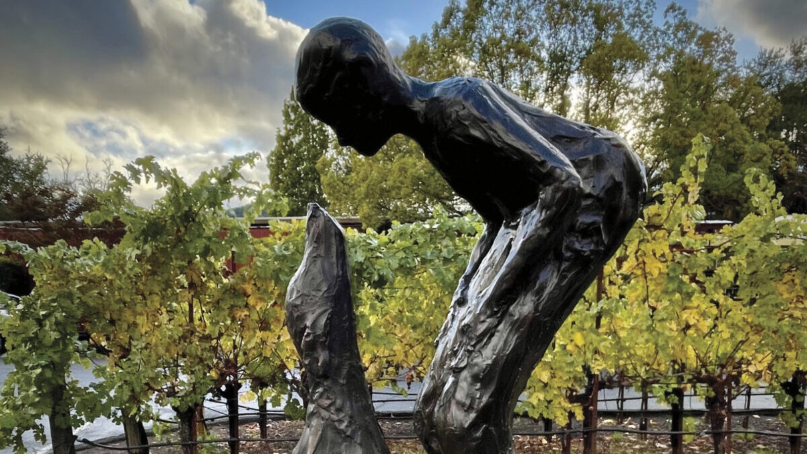 Bronze sculpture of a contemplative figure positioned among vineyard rows during the Yountville Outdoor Sculpture Walk, showcasing the integration of contemporary art with Napa Valley's wine country landscape.