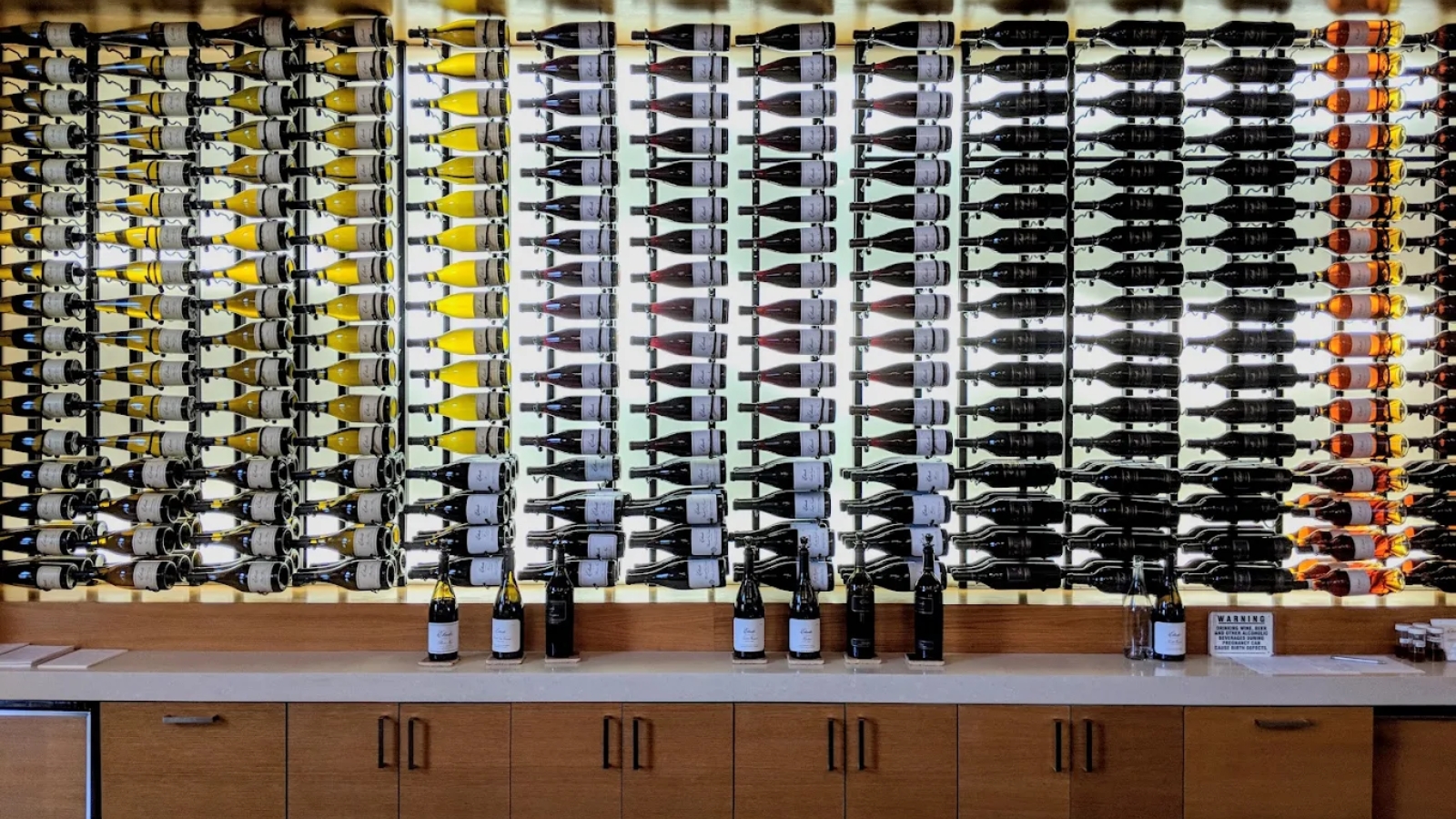 Modern wine storage wall at Etude Wines featuring hundreds of bottles systematically organized in metal racks above a tasting counter displaying select wine bottles for visitors to sample in the contemporary winery facility.