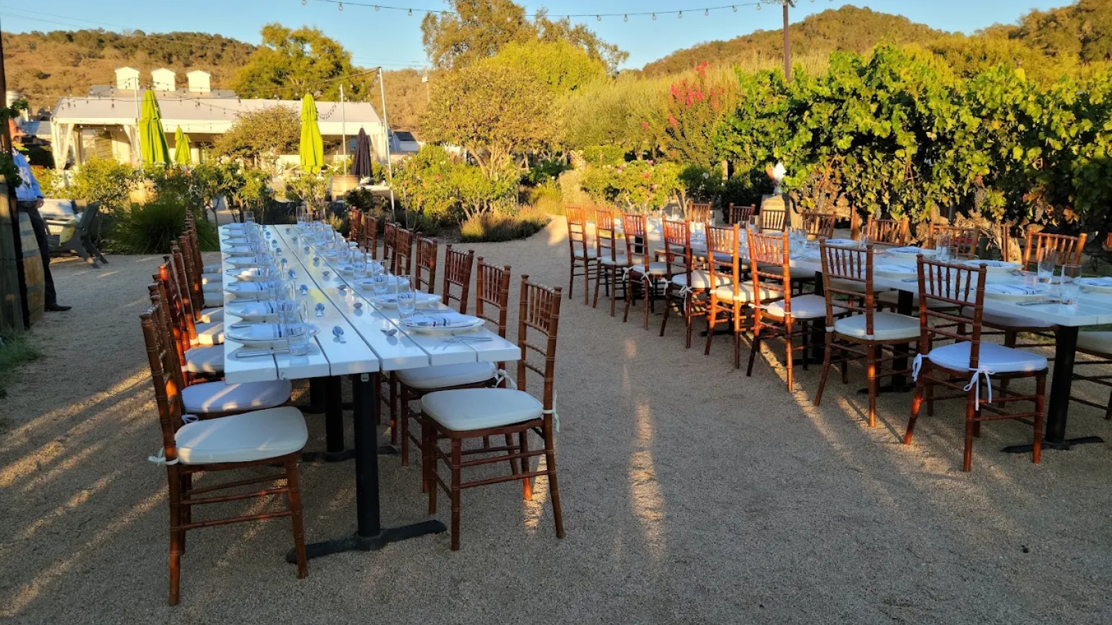 Outdoor dining setup at Brix Restaurant And Gardens with long communal tables and chiavari chairs arranged under string lights overlooking vineyard gardens at golden hour.