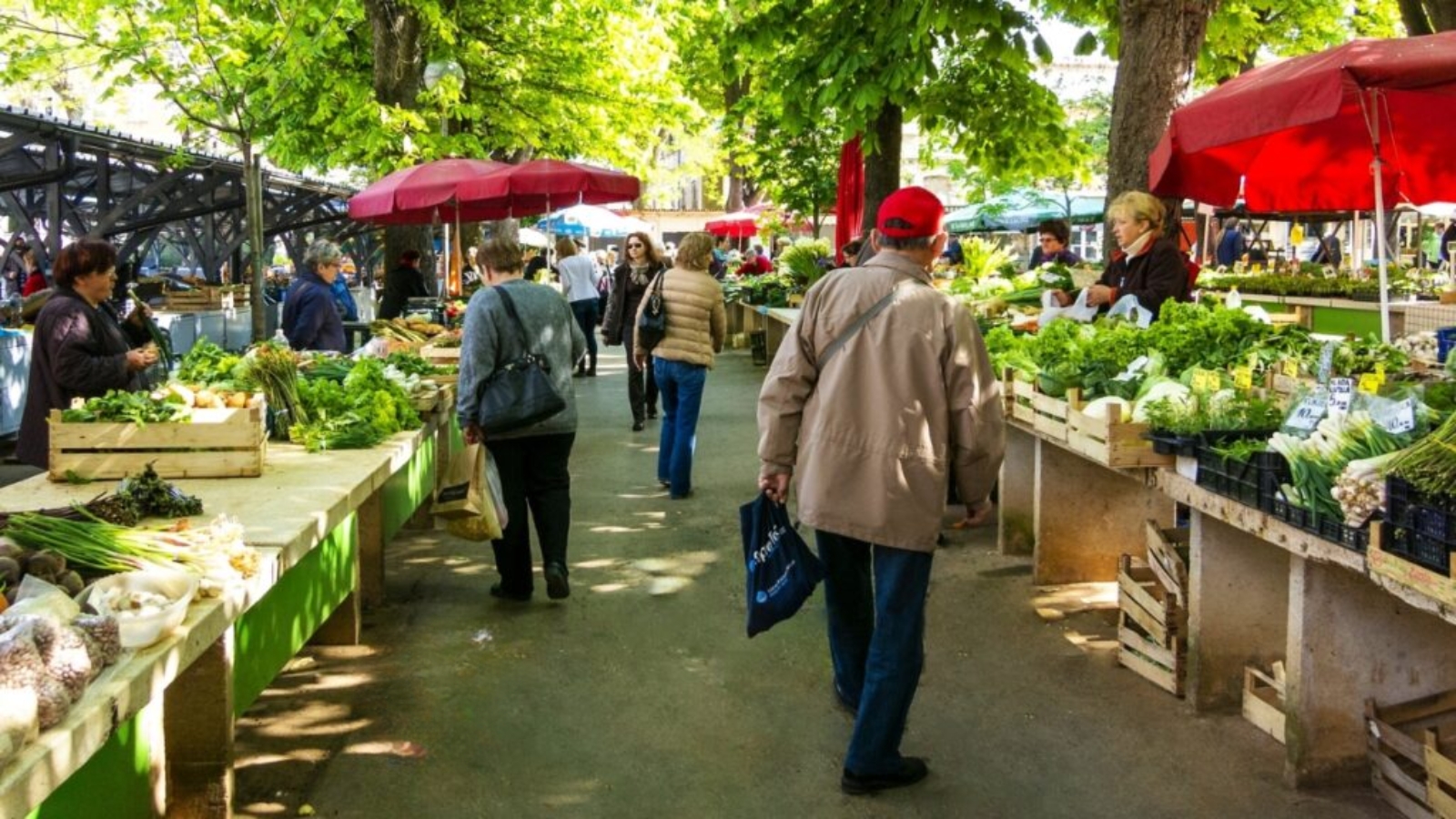 Healdsburg's Farmers Markets feature a vibrant outdoor marketplace with red umbrellas, fresh produce displays in wooden crates, and shoppers browsing local vegetables under leafy trees.