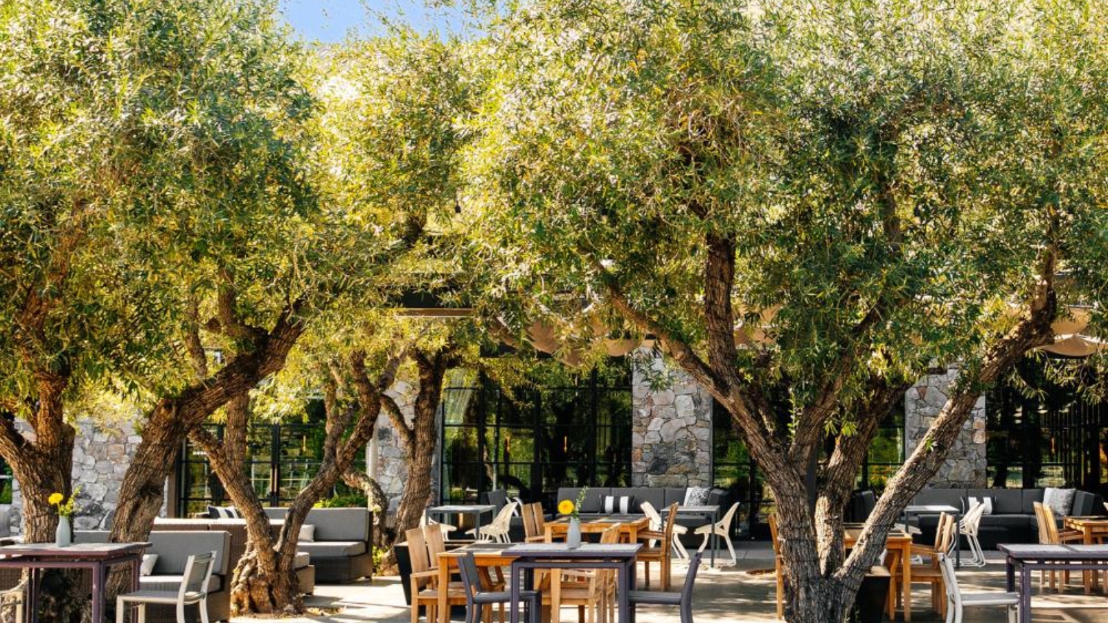 Brix Restaurant and Gardens outdoor patio dining area with olive trees, modern furniture, and stone architecture creating an elegant al fresco atmosphere