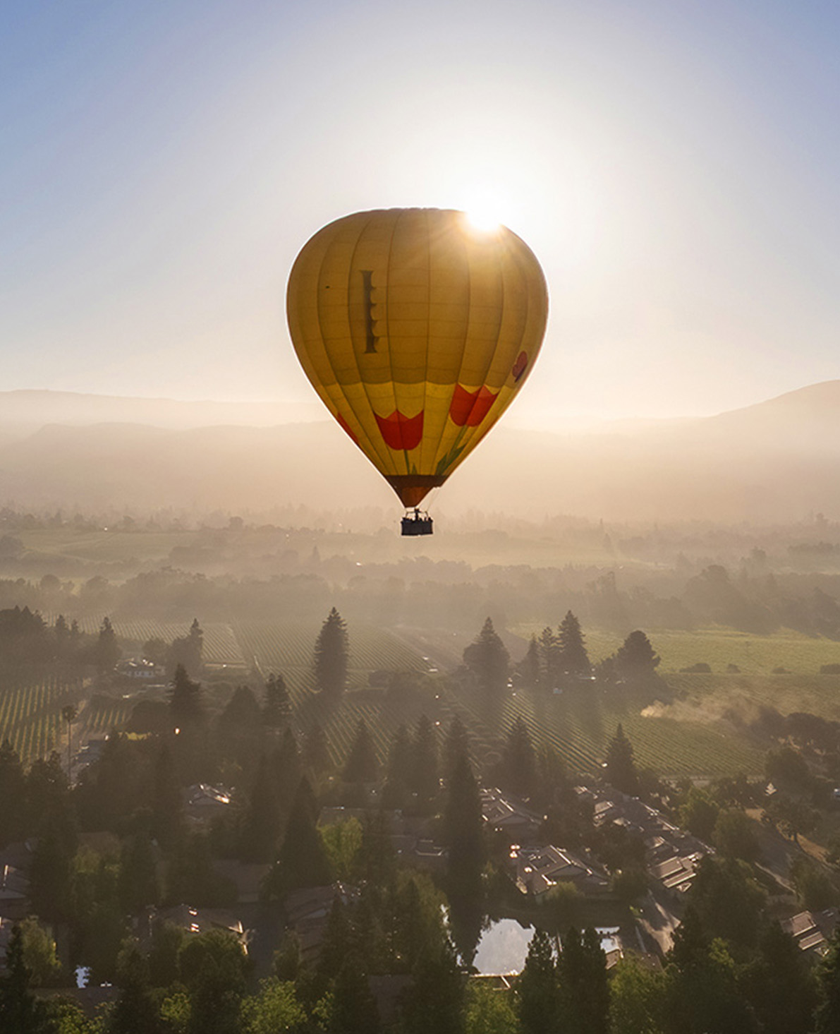 Private Balloon Flight