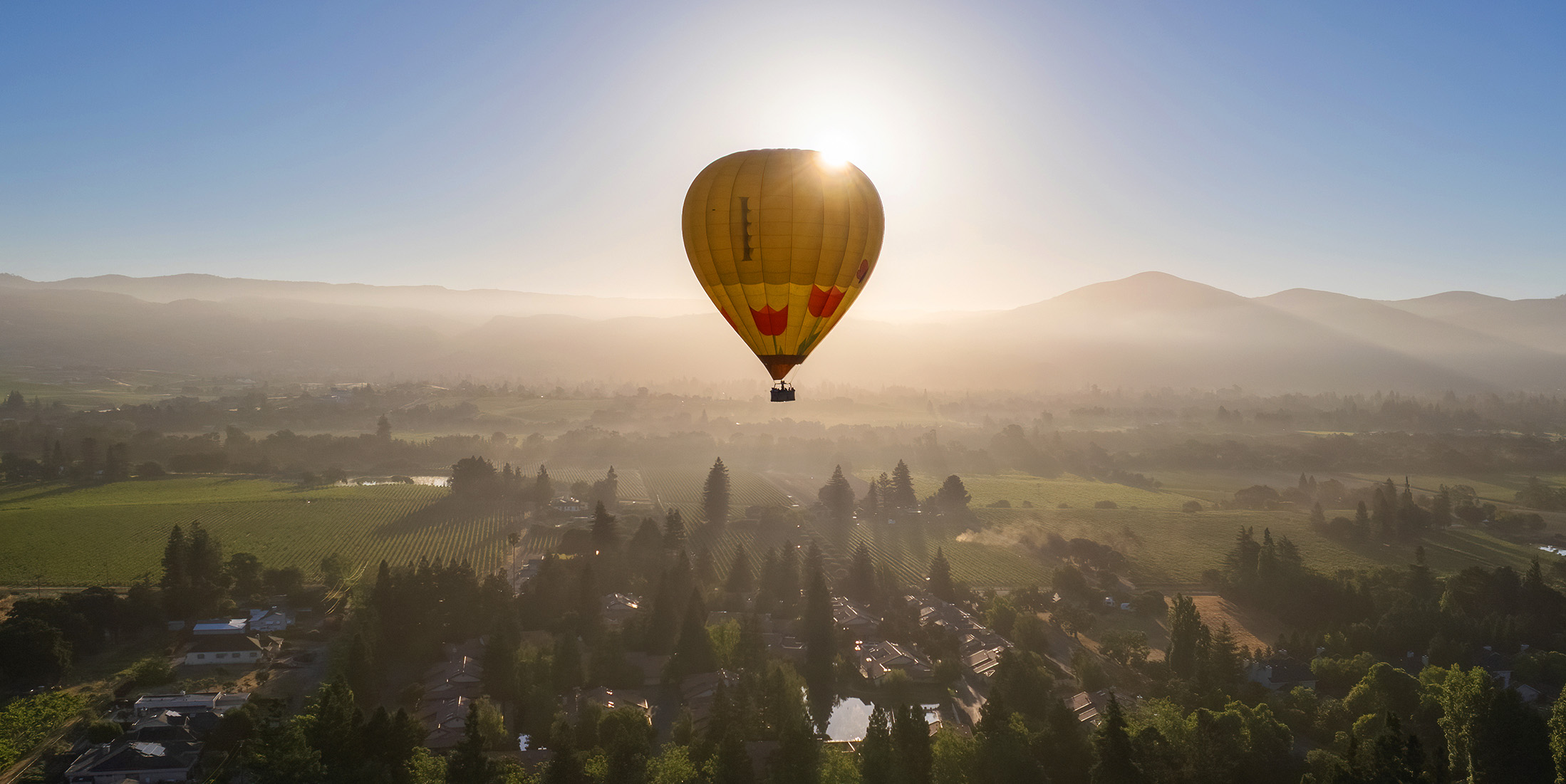 Proposal Balloon Experience