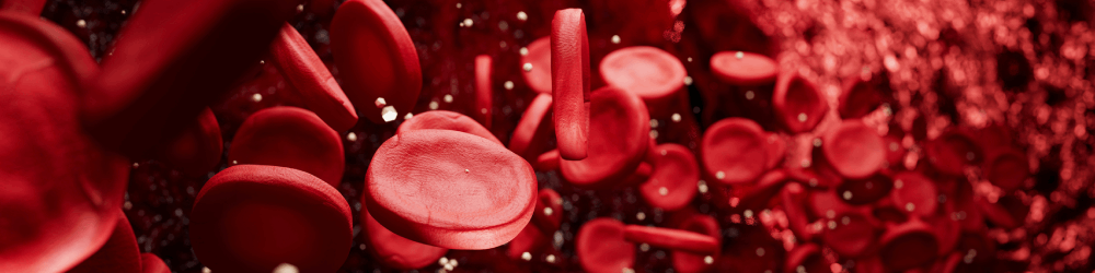 Criação do Dia Nacional de Conscientização sobre as Doenças do Sangue é aprovado na Câmara