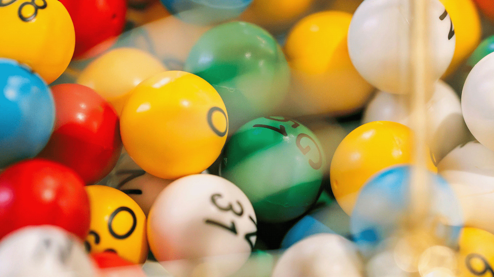 Bingo Night