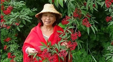Meet Dr. Jeanne Paul