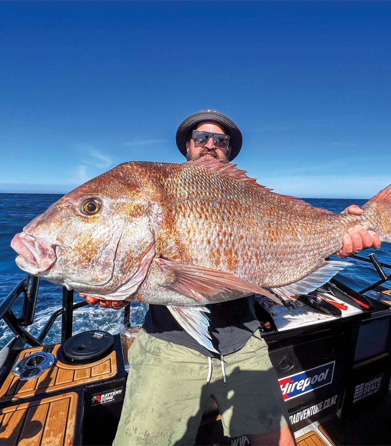 Gurnard - Species Guide