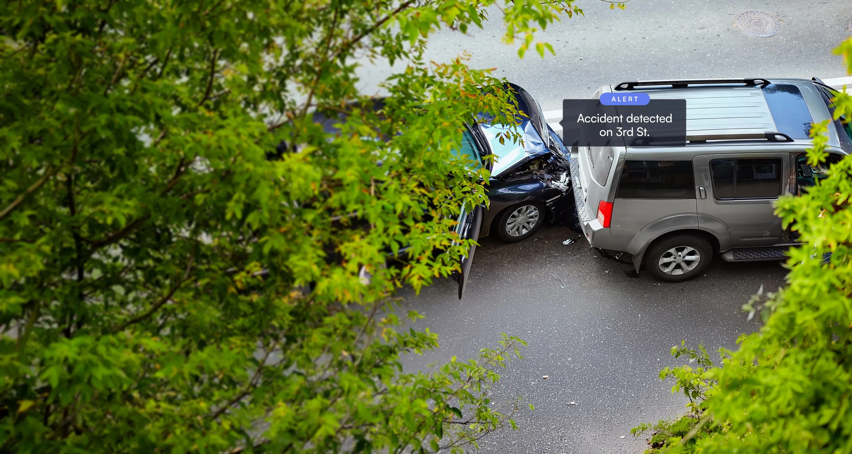 Overhead view of a rear-end collision between a black sedan and a gray SUV on a street, partially obscured by green tree branches.