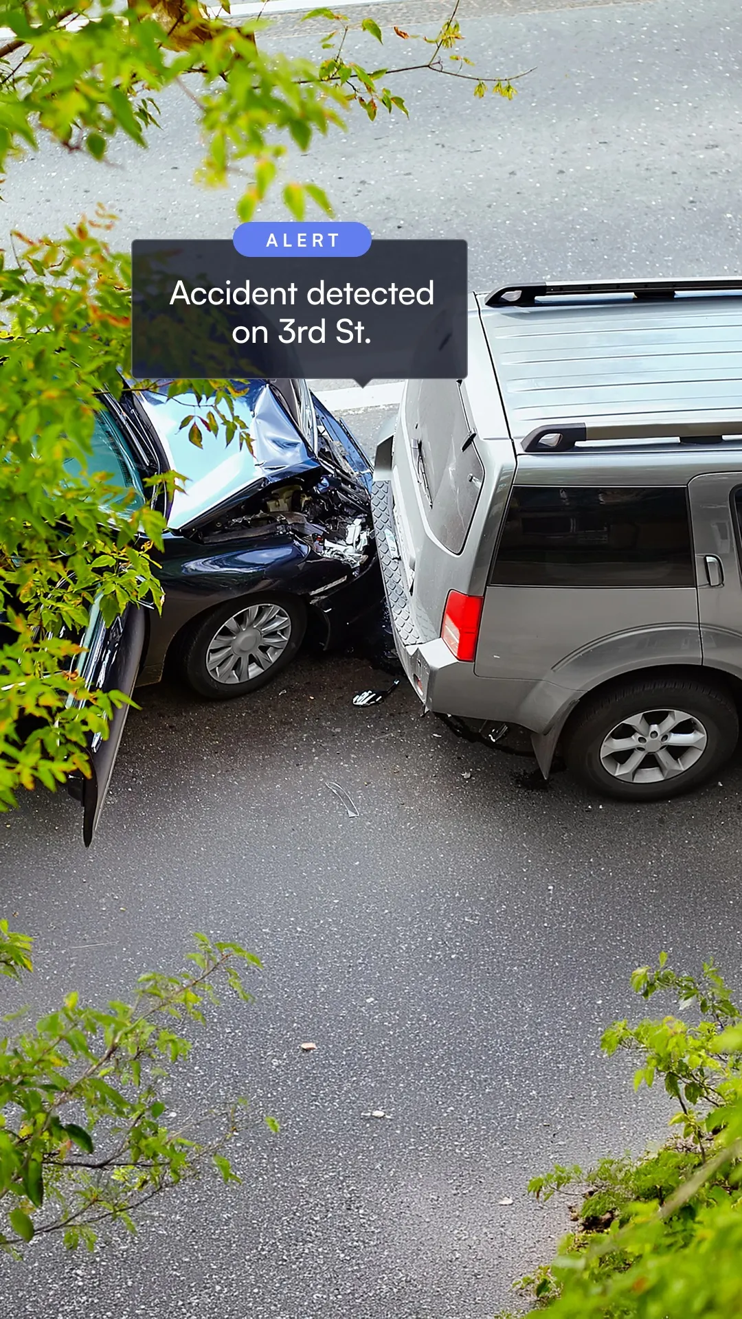 Rear-end collision between a black sedan and a gray SUV on a street, viewed from above with green tree branches framing the scene.
