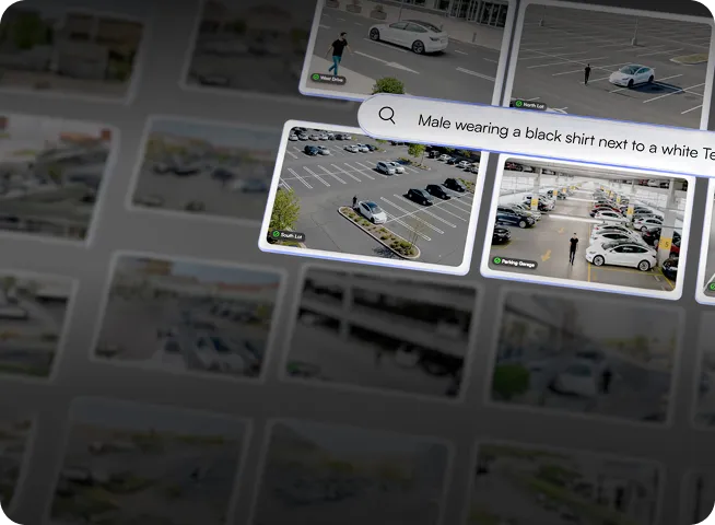 User interface showing aerial parking lot images with search text identifying a male wearing a black shirt next to a white Tesla.
