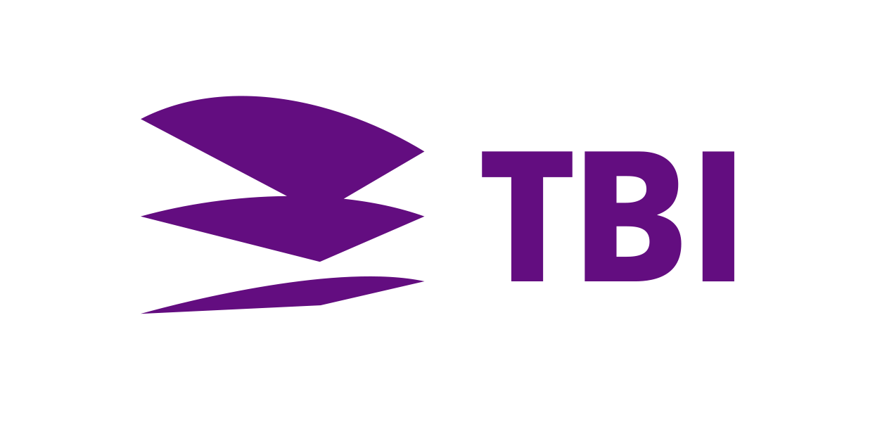 TBI Holdings
