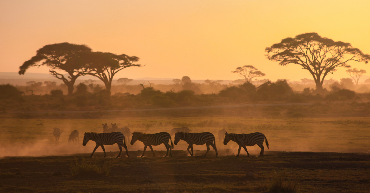 Filling the Gap: Intelligence You Can Trust on Africa’s Gambling Markets